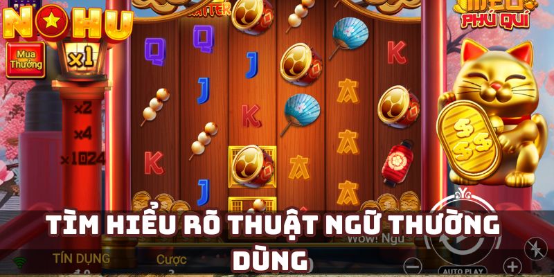 Tìm hiểu rõ thuật ngữ thường dùng 